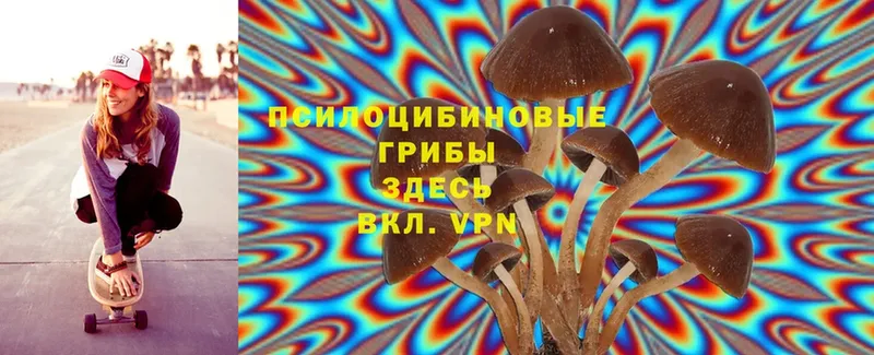 Псилоцибиновые грибы MAGIC MUSHROOMS  Можайск 